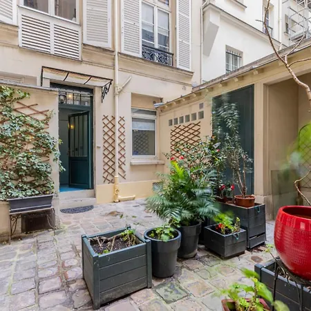 Nochichi Collections - Tuileries *